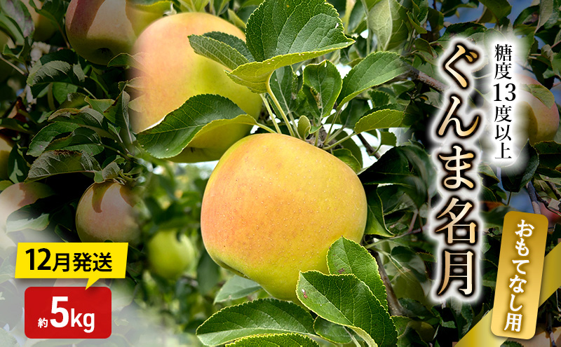 りんご【12月発送】糖度13度以上 ぐんま名月 おもてなし品  約5kg【青森りんご】