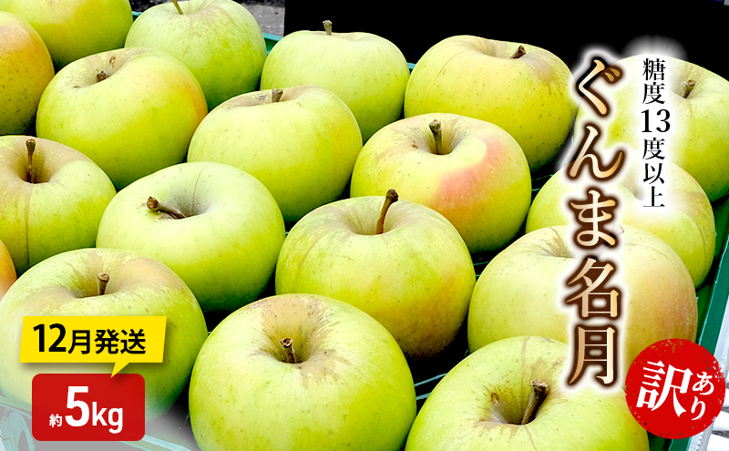 りんご【12月発送】糖度13度以上 訳あり 家庭用 ぐんま名月 約5kg【青森りんご】