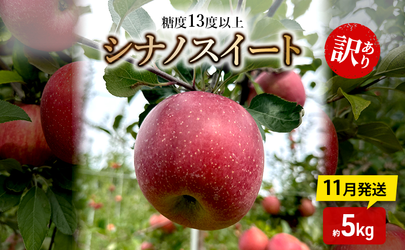 りんご【11月発送】糖度13度以上 訳あり 家庭用 シナノスイート 約5kg【青森りんご】