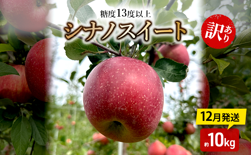りんご【12月発送】糖度13度以上 訳あり 家庭用 シナノスイート 約10kg【青森りんご】