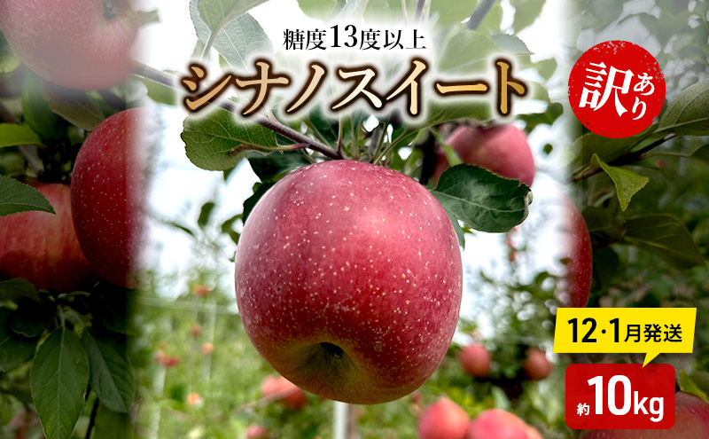 りんご 【12月・1月発送】 糖度13度以上 訳あり品 家庭用 シナノスイート 約10kg【 青森りんご 】