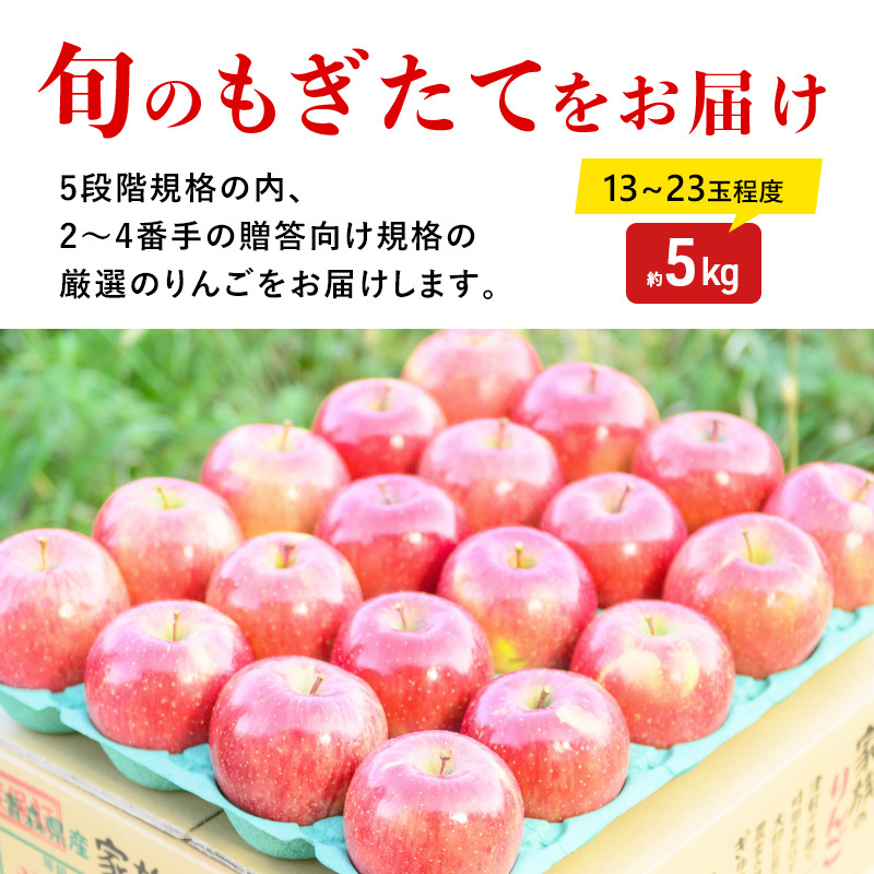 りんご【12月・1月発送】蜜入り 糖度13度以上 おもてなし品  葉とらず サンふじ 約5kg【青森りんご】果物 フルーツ 産地直送 贈り物 年末 年始 挨拶