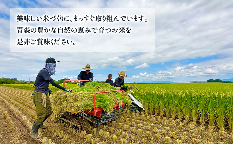 鶴田町　26年1月おすすめ返礼品！ 青森県鶴田町産 米 まっしぐら 5kg 白米 ご飯 ライス 鶴田町