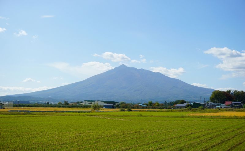 鶴田町　26年1月おすすめ返礼品！ 青森県鶴田町産 米 まっしぐら 5kg 白米 ご飯 ライス 鶴田町