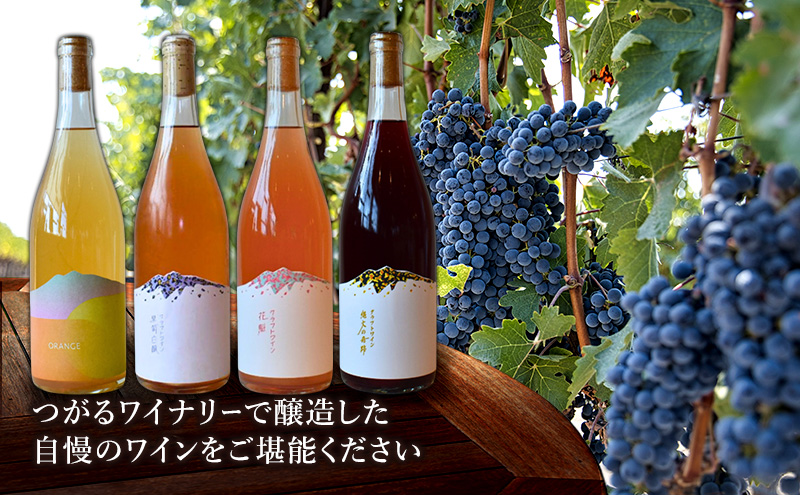 平日 つがる富士見荘宿泊券 ：［1名:1泊2食・展望和室] つがるワイナリー おすすめワイン1本付き