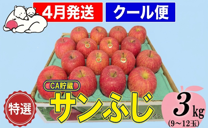 鶴田町　26年3月おすすめ返礼品！雪国の鮮度を閉じ込めた！【クール便】4月発送 白熊 特選 サンふじ 絆 約3kg 糖度13度【青森りんご・ 果物 フルーツ 食後 デザート シャキシャキ ジューシー りんごの王様 】