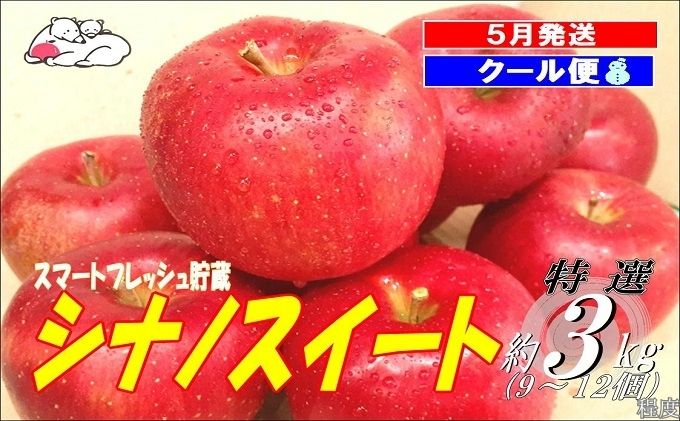 【5月発送クール便】白熊 贈答用シナノスイート約3kg スマートフレッシュ 糖度13度【青森りんご 果物 フルーツ 果物類 デザート 食後 おやつ 青森のりんご 】