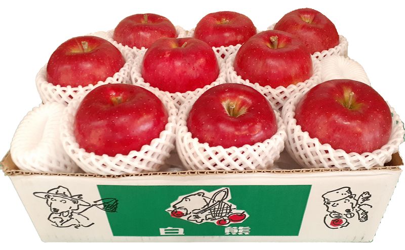 【5月発送クール便】白熊 贈答用シナノスイート約3kg スマートフレッシュ 糖度13度【青森りんご 果物 フルーツ 果物類 デザート 食後 おやつ 青森のりんご 】