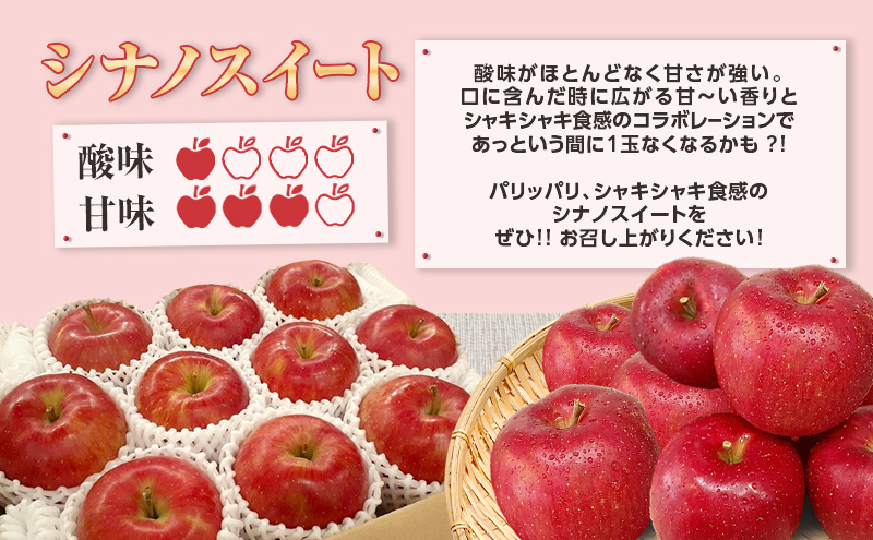 【5月発送クール便】白熊 贈答用シナノスイート約3kg スマートフレッシュ 糖度13度【青森りんご 果物 フルーツ 果物類 デザート 食後 おやつ 青森のりんご 】