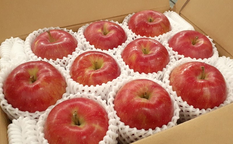 【5月発送クール便】白熊 贈答用シナノスイート約3kg スマートフレッシュ 糖度13度【青森りんご 果物 フルーツ 果物類 デザート 食後 おやつ 青森のりんご 】