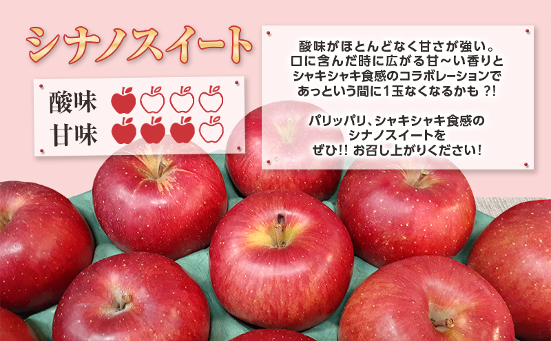 【5月発送クール便】 白熊 訳アリ家庭用シナノスイート 約5kg スマートフレッシュ 糖度13度【青森りんご 果物 フルーツ 果物類 デザート 食後 おやつ 青森のりんご 】