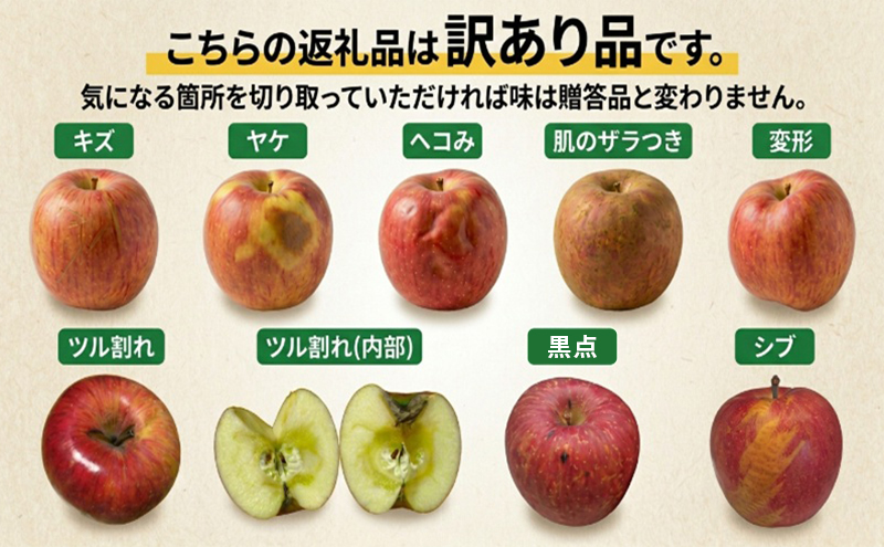 【5月発送クール便】 白熊 訳アリ家庭用シナノスイート 約5kg スマートフレッシュ 糖度13度【青森りんご 果物 フルーツ 果物類 デザート 食後 おやつ 青森のりんご 】