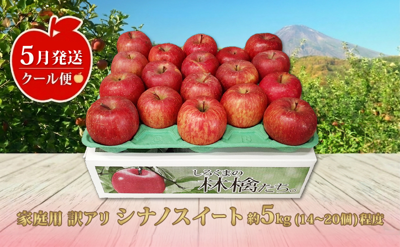 【5月発送クール便】 白熊 訳アリ家庭用シナノスイート 約5kg スマートフレッシュ 糖度13度【青森りんご 果物 フルーツ 果物類 デザート 食後 おやつ 青森のりんご 】
