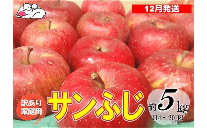 【12月発送】白熊 訳あり家庭用 サンふじ 約5kg 糖度13度【青森りんご 果物 フルーツ 食後 デザート シャキシャキ ジューシー りんごの王様 】