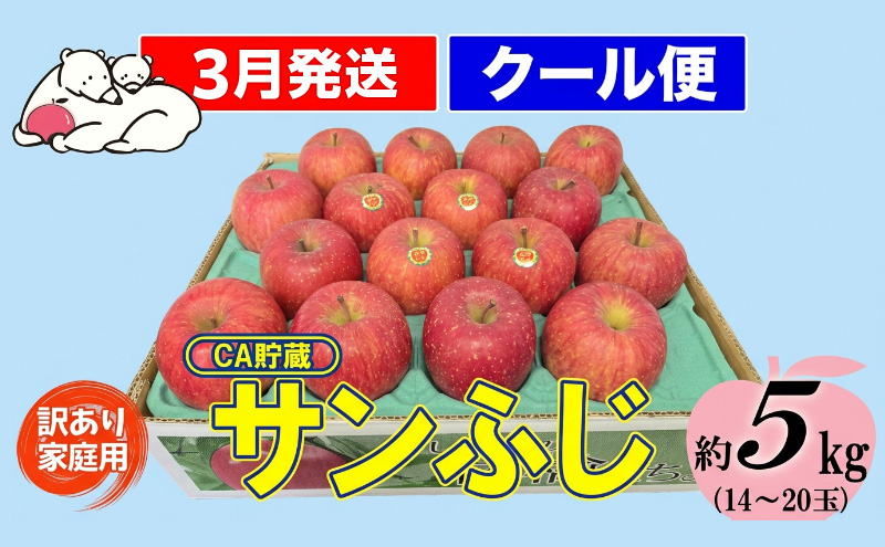 【クール便】3月発送 白熊 訳あり家庭用 サンふじ 約5kg 糖度13度【青森りんご 果物 フルーツ 食後 デザート シャキシャキ ジューシー りんごの王様 】