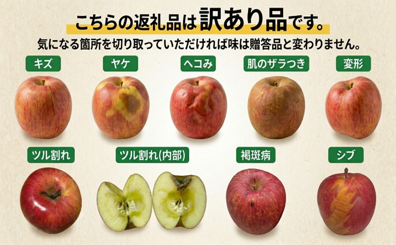 【クール便】3月発送 白熊 訳あり家庭用 サンふじ 約5kg 糖度13度【青森りんご 果物 フルーツ 食後 デザート シャキシャキ ジューシー りんごの王様 】