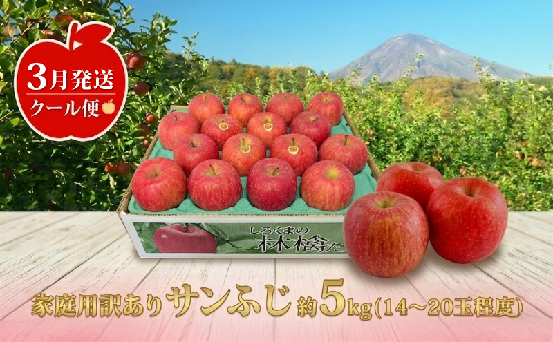【クール便】3月発送 白熊 訳あり家庭用 サンふじ 約5kg 糖度13度【青森りんご 果物 フルーツ 食後 デザート シャキシャキ ジューシー りんごの王様 】