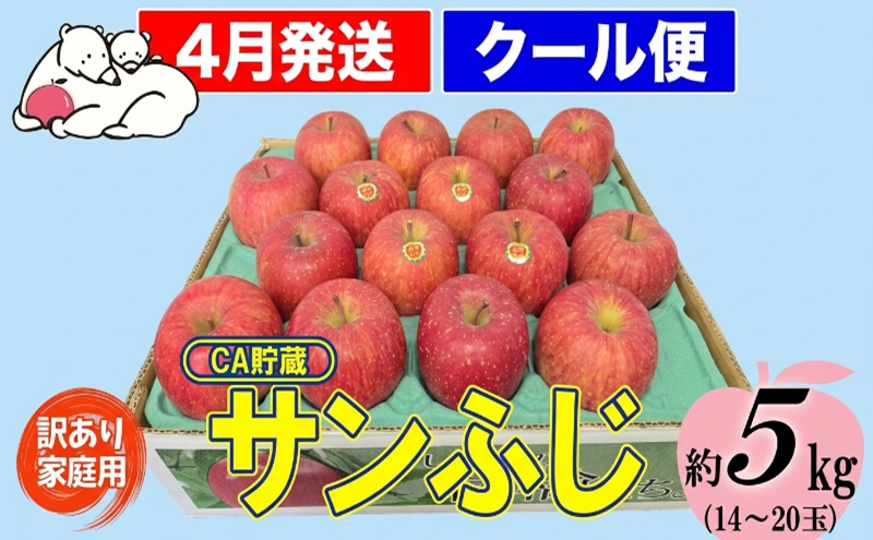 【クール便】4月発送 白熊 訳あり家庭用 サンふじ 約5kg 糖度13度【青森りんご・ 果物 フルーツ 食後 デザート シャキシャキ ジューシー りんごの王様 】