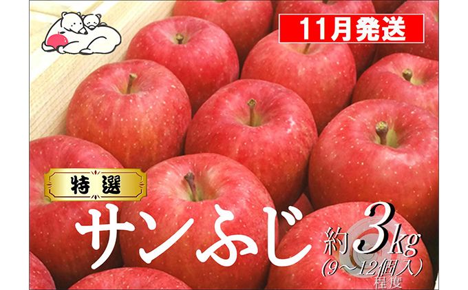 【11月発送】白熊 特選 サンふじ 絆 約3kg 糖度13度【青森りんご 果物 フルーツ 食後 デザート シャキシャキ ジューシー りんごの王様 】