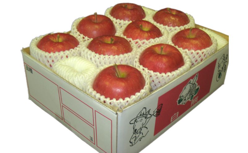 ã11æçºéãçœç ç¹éž ãµã³ãµã çµ çŽ3kg ç³åºŠ13床ã鿣®ããã æç© ãã«ãŒã é£åŸ ãã¶ãŒã ã·ã£ãã·ã£ã ãžã¥ãŒã·ãŒ ãããã®çæ§ ã