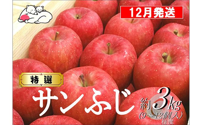 【12月発送】白熊 特選 サンふじ 絆 約3kg 糖度13度【青森りんご 果物 フルーツ 食後 デザート シャキシャキ ジューシー りんごの王様 】