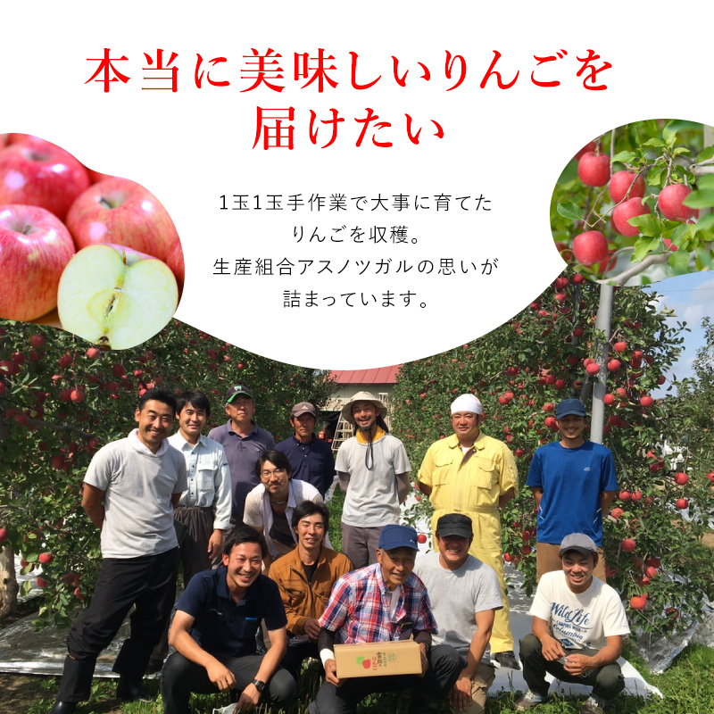 りんご【11月～2月発送】糖度13度以上 訳あり品 家庭用 シナノスイート 約3kg【青森りんご】