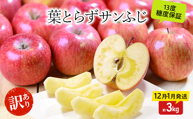 りんご 【12月・1月発送】 蜜入り 糖度13度以上  訳あり品 家庭用 葉とらず サンふじ 約 3kg 【 青森りんご 】 果物 フルーツ 産地直送 糖度測定 褐変 チェック 贈り物 年末 挨拶