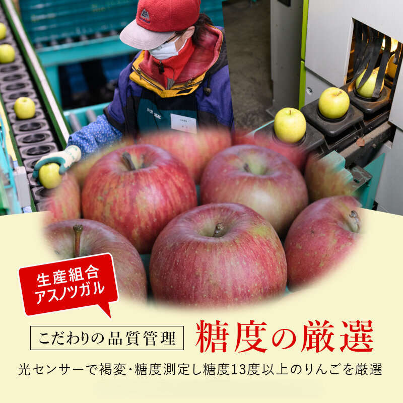 りんご 【12月・1月発送】 蜜入り 糖度13度以上  訳あり品 家庭用 葉とらず サンふじ 約 3kg 【 青森りんご 】 果物 フルーツ 産地直送 糖度測定 褐変 チェック 贈り物 年末 挨拶