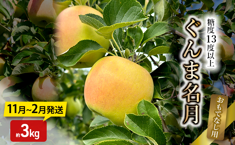 りんご【11月～2月発送】糖度13度以上 ぐんま名月 おもてなし用 家庭用 約3kg【青森りんご】