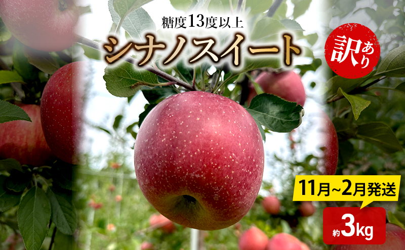 りんご【11月～2月発送】糖度13度以上 訳あり品 家庭用 シナノスイート 約3kg【青森りんご】