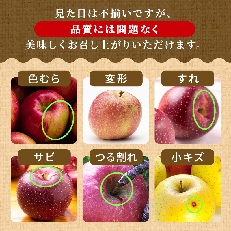 りんご【11月～2月発送】糖度13度以上 訳あり品 家庭用 シナノスイート 約3kg【青森りんご】