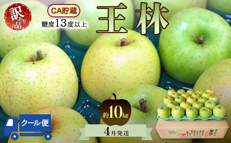 りんご【4月クール便発送】糖度13度以上 訳あり品 家庭用 CA貯蔵 王林約10kg【青森りんご 果物 フルーツ デザート 食後 青森県産 産地直送 贈り物】