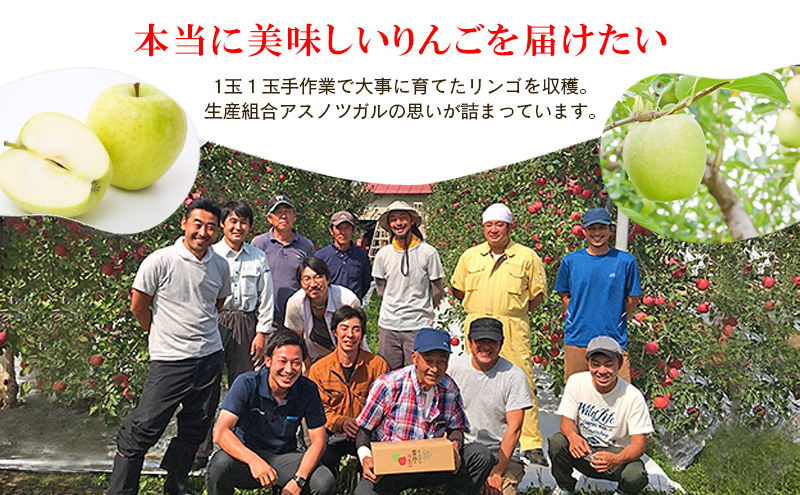 りんご【1月・2月発送】糖度13度以上 おもてなし用 家庭用 王林 約5kg【青森りんご 果物 フルーツ デザート 食後 青森県産 産地直送 贈り物】