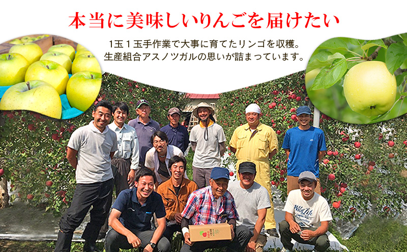 りんご【3月クール便発送】平均糖度13度以上 訳あり品 家庭用 シナノゴールド 約5kg【青森りんご 果物 フルーツ デザート 食後 青森県産 産地直送 贈り物】