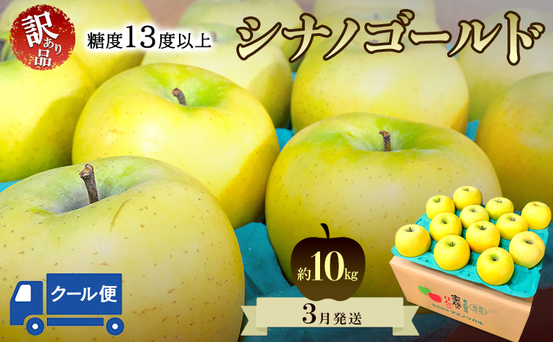りんご【3月クール便発送】糖度13度以上 訳あり品 家庭用 シナノゴールド約10kg【青森りんご 果物 フルーツ デザート 食後 青森県産 産地直送 贈り物】