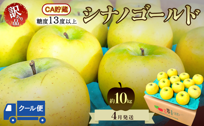 りんご【4月クール便発送】糖度13度以上 訳あり品 家庭用 CA貯蔵 シナノゴールド約10kg【青森りんご 果物 フルーツ デザート 食後 青森県産 産地直送 贈り物】