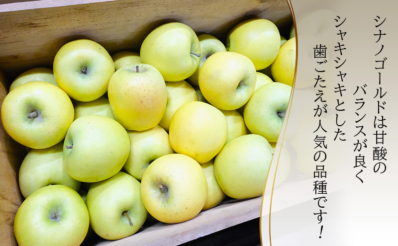 りんご【1月・2月発送】糖度13度以上 おもてなし用 家庭用 シナノゴールド 約5kg【青森りんご  果物 フルーツ デザート 食後 青森県産 産地直送 贈り物】