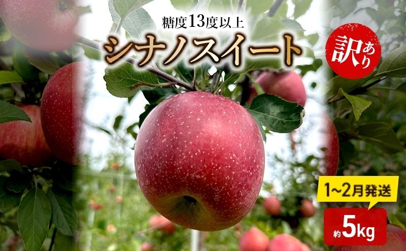 りんご 【1～2月順次発送】 糖度13度以上 訳あり品 家庭用 シナノスイート 約5kg【 青森りんご 】