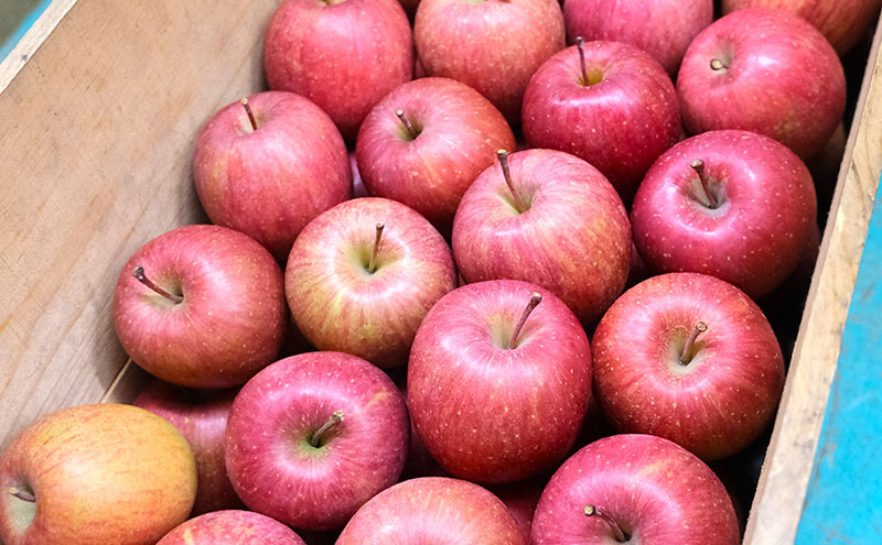 りんご 【1月・2月発送】 糖度13度以上 おもてなし用 家庭用 サンふじ 約 5kg 【 青森りんご  果物 フルーツ デザート 食後 青森県産 産地直送 贈り物  】