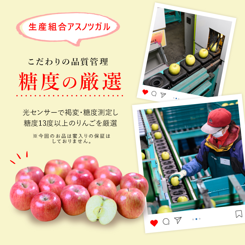 りんご 【4月クール便発送】 平均糖度13度以上 訳あり品 家庭用 CA貯蔵 サンふじ 約 5kg 【 青森りんご 】 フルーツ 果物 リンゴ 青森県 デザート ジューシー