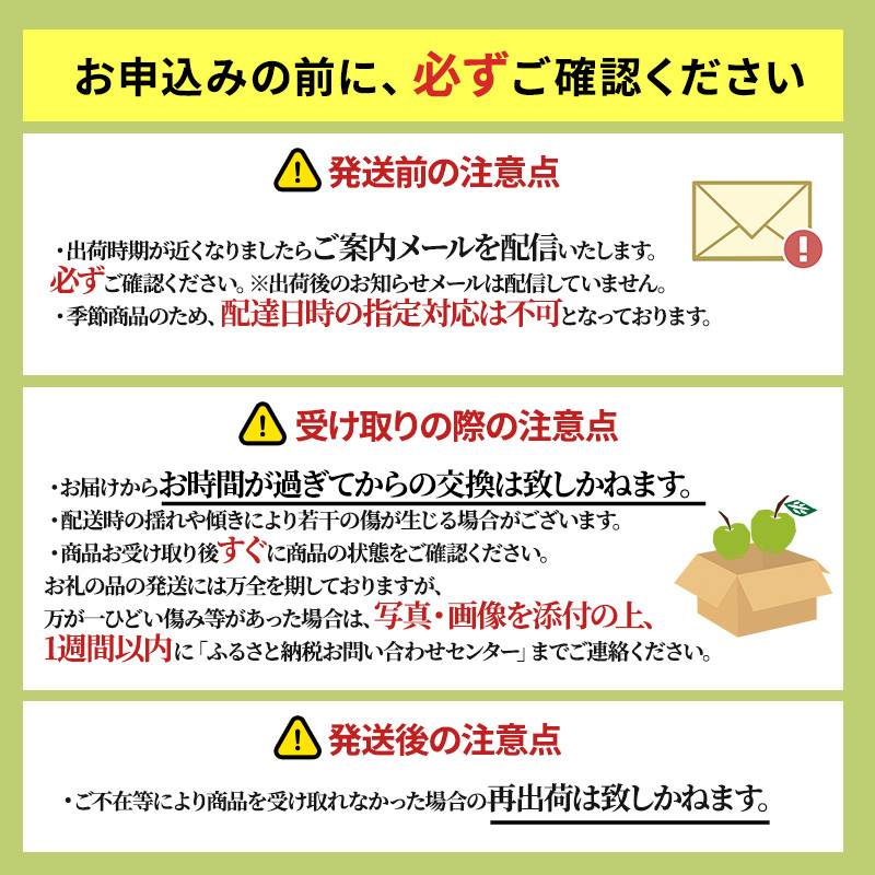 りんご 【1月・2月発送】 糖度13度以上 訳あり品 家庭用 サンふじ 約 10kg 【 青森りんご  果物 フルーツ デザート 食後 青森県産 産地直送  】