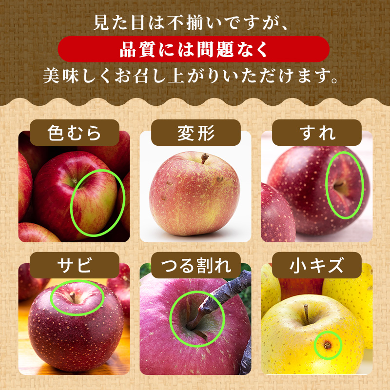 りんご 【1月・2月発送】 糖度13度以上 訳あり品 家庭用 サンふじ 約 5kg 【 青森りんご  果物 フルーツ デザート 食後 青森県産 産地直送 贈り物  】