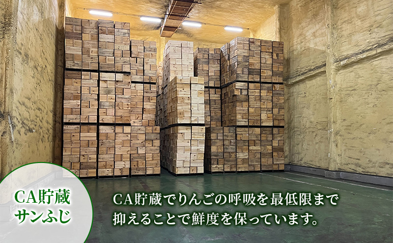 【6月 クール便配送】雪国鮮度を閉じ込めた りんご 【糖度13度以上で選果】CA貯蔵 訳あり 有袋ふじ 約5kg リンゴ 果物 青森県 鶴田町