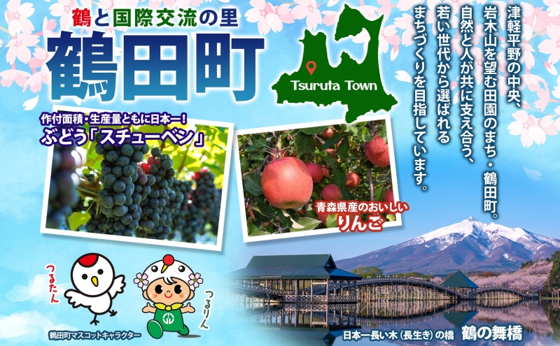 スチューベンワイン 赤・白 720ml 各1本 セット 赤ワイン 白ワイン 紅白セット スチューベン 果実酒 ぶどう酒 飲み比べ 詰め合わせ 青森県産 日本ワイン 地酒 晩酌 ギフト 贈答用 フルーツワイン 国産 完熟 家飲み ギフト パーティー 記念日 青森県 鶴田町