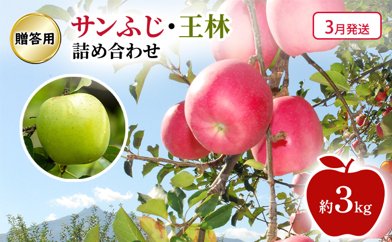 【3月発送】贈答用 サンふじ・王林 詰め合わせ 約3kg 果物類 フルーツ 林檎 リンゴ 鶴田町 青森県 おやつ デザート