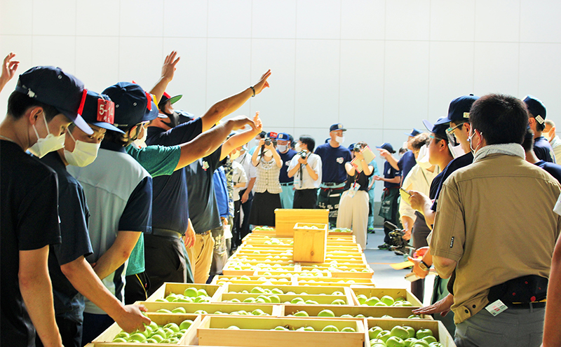 【2月発送】贈答用 サンふじ・王林 詰め合わせ 約3kg 果物類 フルーツ 林檎 リンゴ 鶴田町 青森県 おやつ デザート