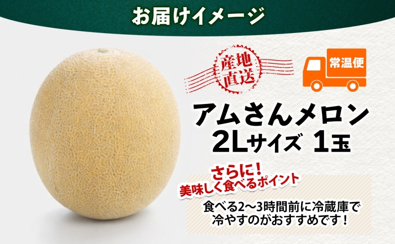 青森県産 つがりあんメロン 「アムさん」 2Lサイズ 1玉 完熟 甘い ジューシー ハウス栽培 弘果弘前中央青果 産地直送 メロン フルーツ 果物 ギフト 贈答 青森県 鶴田町