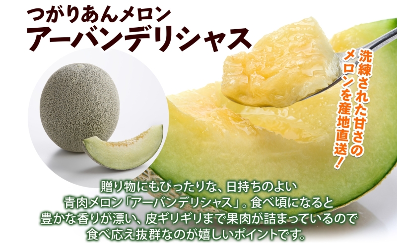 青森県産 つがりあんメロン 「アーバンデリシャス」 Lサイズ 2玉 甘い 濃厚 ハウス栽培 弘果弘前中央青果 産地直送 メロン フルーツ 果物 ギフト 贈答 青森県 鶴田町