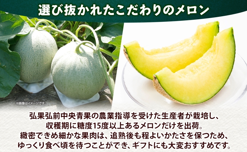 青森県産 つがりあんメロン 「アーバンデリシャス」 Lサイズ 2玉 甘い 濃厚 ハウス栽培 弘果弘前中央青果 産地直送 メロン フルーツ 果物 ギフト 贈答 青森県 鶴田町