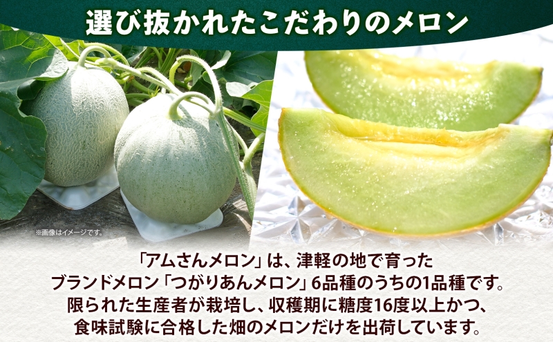 青森県産 つがりあんメロン 「アムさん」 2Lサイズ 2玉 完熟 甘い ジューシー ハウス栽培 弘果弘前中央青果 産地直送 メロン フルーツ 果物 ギフト 贈答 青森県 鶴田町
